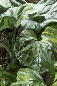 Malerei - Ausschnitt im Garten